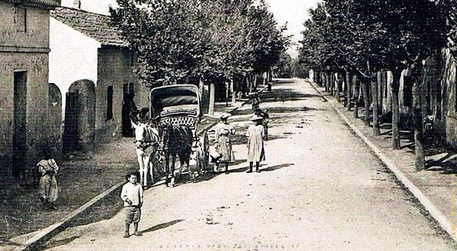 2564- Douaouda - Grande Rue2.jpg